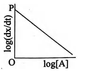 Option 1 Image