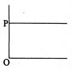 Option 4 Image