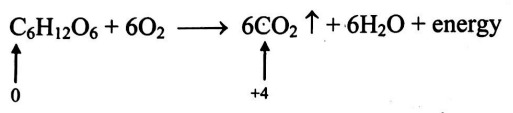 Solution Image