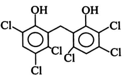 Option 3 Image