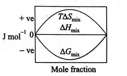 Option 4 Image