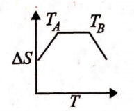 Option 3 Image
