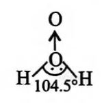 Option 4 Image