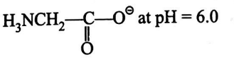 Option 2 Image