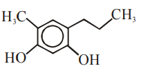 Option 3 Image