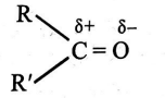 Option 2 Image