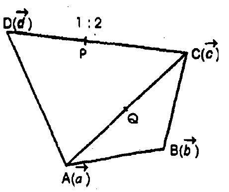 In A Quadrilateral Abcd The Point P Divides Dc In The Rati In A Quadrilateral Abcd The Point P Divides Dc In The Rati