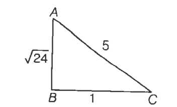 Cos 2 Cos 1 1 5 Sin 1 1 5 Is Euqal To Tardigrade In