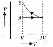 Option 1 Image