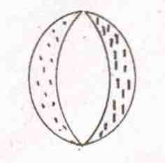 Physics Question Image