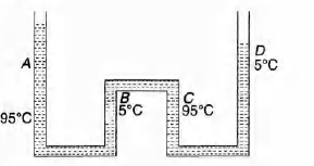 Solution Image