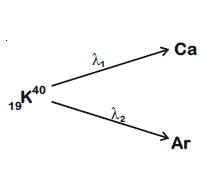 Solution Image