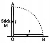 A meter stick is held vertically with one end on the floor and is then ...