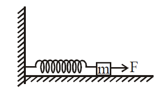 Physics Question Image