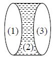 Solution Image