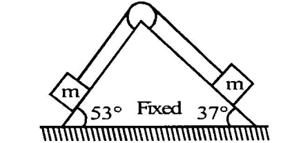 Physics Question Image
