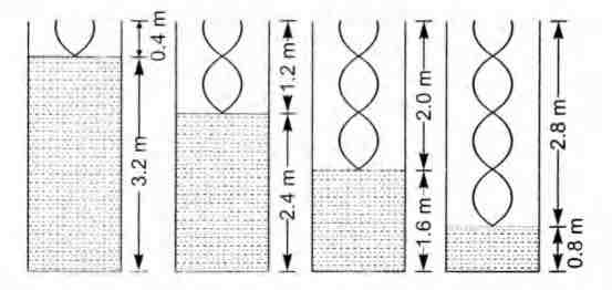 Solution Image