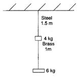 Solution Image