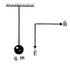 Physics Question Image