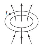 Option 1 Image