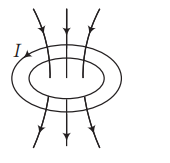 Option 2 Image