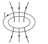 Option 4 Image