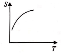 Option 1 Image