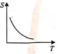 Option 4 Image