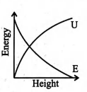 Energy Height Graph Which of the following graph is correct between kinetic energy (E) and ...