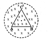 Physics Question Image