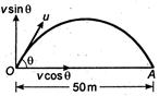 Solution Image