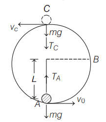 Physics Question Image