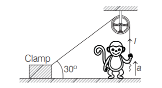 Physics Question Image