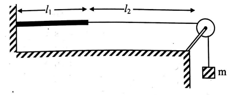 Physics Question Image