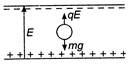 Solution Image