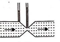 Option 1 Image