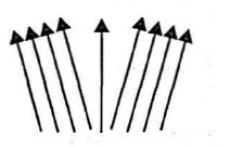 Option 2 Image