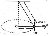 Solution Image