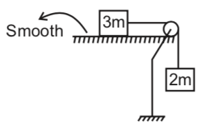 Physics Question Image
