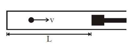 Physics Question Image