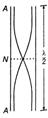 Solution Image