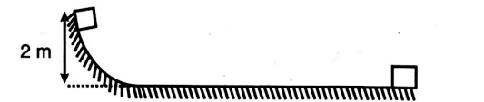 Physics Question Image