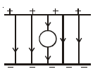 Option 1 Image