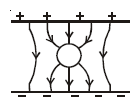 Option 3 Image