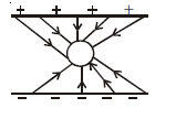Option 4 Image