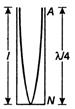 Solution Image
