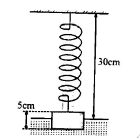 Physics Question Image