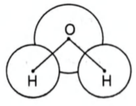 Option 4 Image
