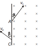 Physics Question Image