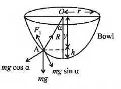 Solution Image